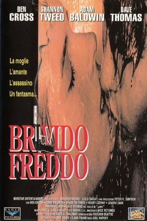 Poster Brivido freddo 1993