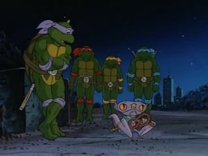 Teenage Mutant Ninja Turtles: 7×15