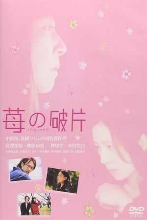 Poster 苺の破片 イチゴノカケラ 2005