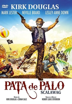 Poster Pata de palo 1973