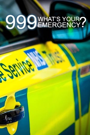 Image 999: What's Your Emergency?