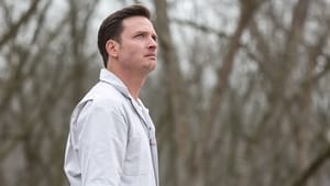 Rectify: 2×1