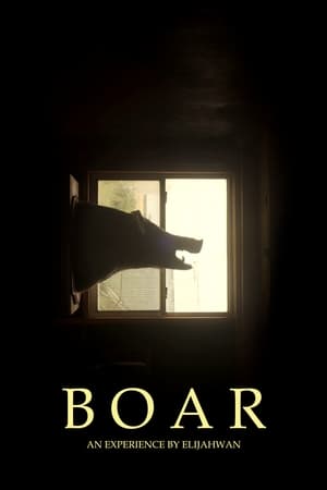 Poster B O A R (2020)