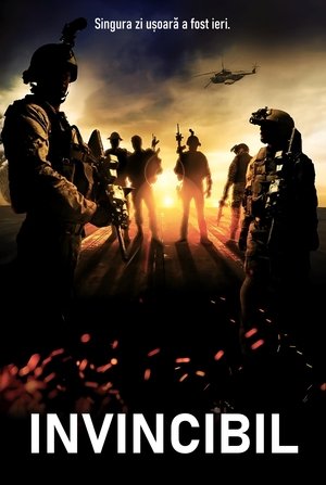 Image Invincibil