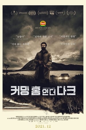 Poster 커밍 홈 인 더 다크 2021