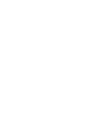 When I Fly Towards You — Logos 2