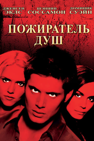 Poster Пожиратель душ 2005