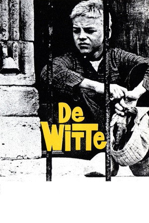 Whitey 9