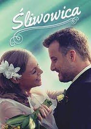 Poster Śliwowica (2013)