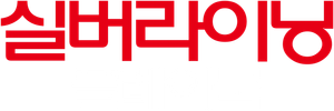 실버라이닝 플레이북