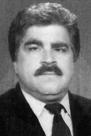 Adnan Mersinli portrait