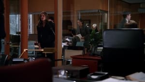 The Good Wife 4×7