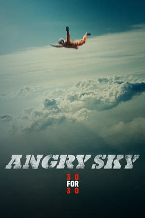 Poster Angry Sky 2015