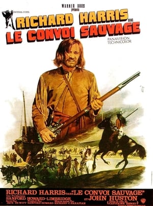 Poster Le Convoi sauvage 1971