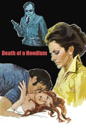 Poster Death of a Hoodlum (1975)