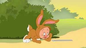 Looney Tunes Cartoons Fudds Bunny