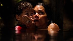 Desaparecido – Secuestrado