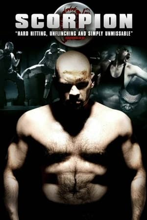 Poster Scorpion (2007)