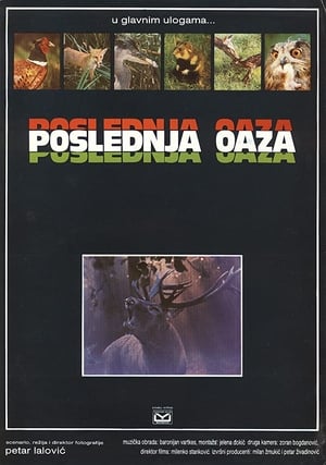 Poster Poslednja oaza 1983