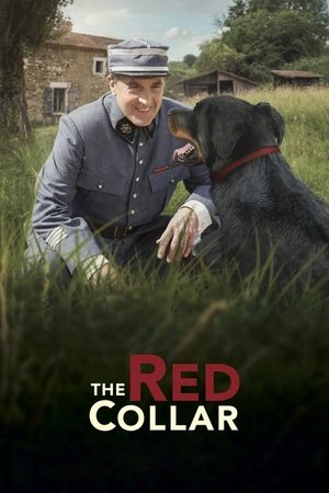 Poster The Red Collar 2018