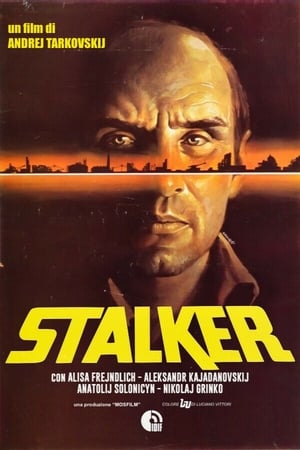 Poster Stalker 1979