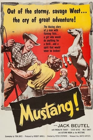 Mustang! poster