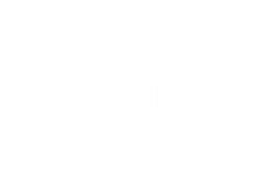 O Diretor Nu — Logos 8