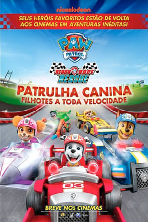 Poster PAW Patrol: Ready, Race, Rescue! 2019