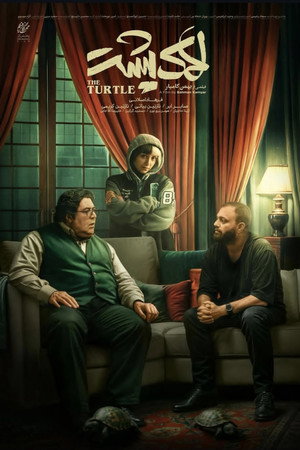The Turtle 6