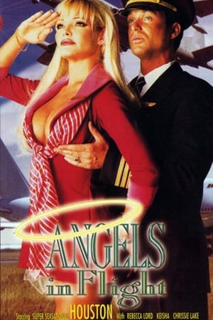 Poster Angels in Flight (1995)