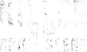 Killer at the Crime Scene