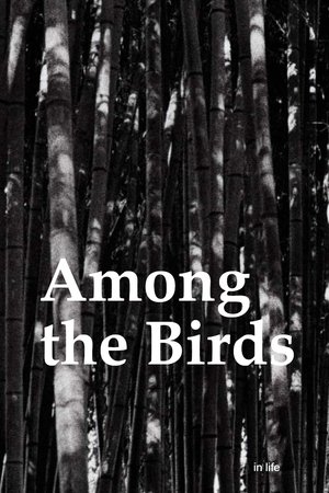 Nonton film Among the Birds (2019) terbaru sub indo Nonton film Among the Birds (2019) terbaru sub indo