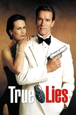 Assistir True Lies Online Grátis