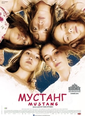 Мустанг (2015)