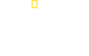 Tucci en Italia — Logos 11
