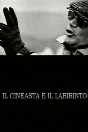 Image The Filmmaker and the Labyrinth