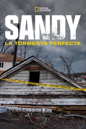 Superstorm New York: What Really Happened