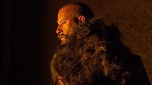 The Last Witch Hunter (2015)