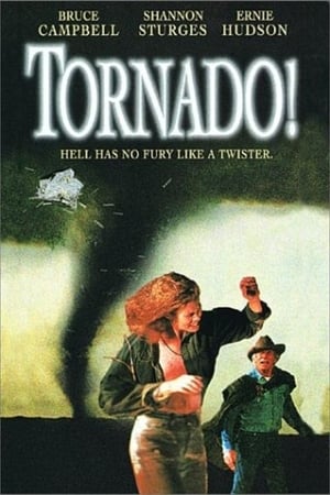 Poster Tornado! (1996)