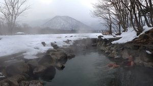 Journeys in Japan: 12×6