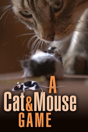 A Cat and Mouse Game