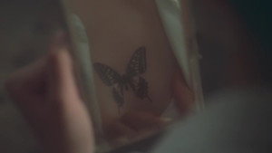 Swallowtail Butterfly