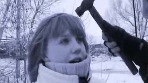 The Man Who Loved Flowers