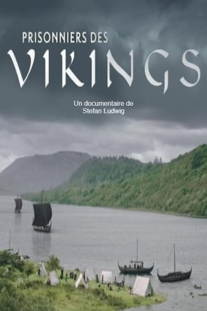 Image Prisonniers des Vikings
