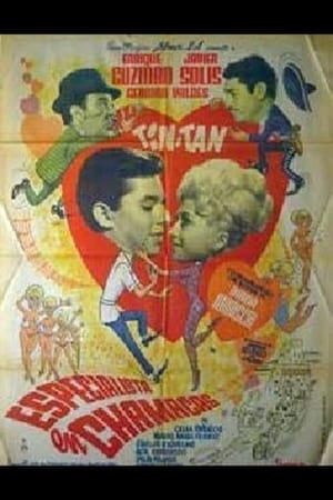Poster Especialista en chamacas 1965
