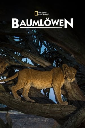 Poster Baumlöwen 2018