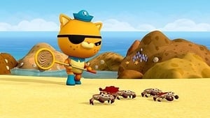 The Octonauts: 3×15