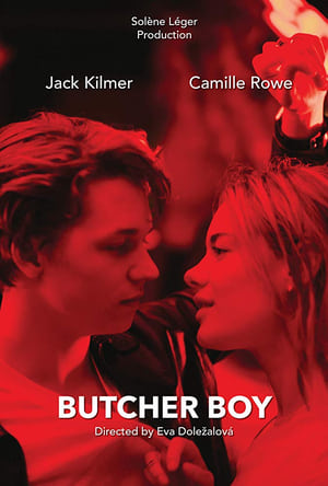 Butcher Boy poster