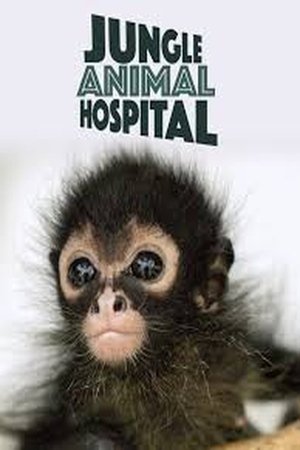 Jungle Animal Hospital (2025)