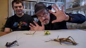 Episode 3